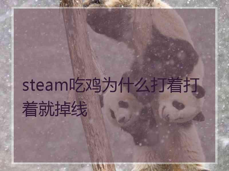 steam吃鸡为什么打着打着就掉线