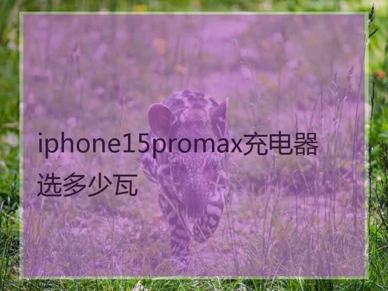 iphone15promax充电器选多少瓦