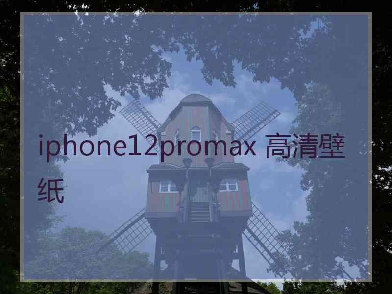 iphone12promax 高清壁纸