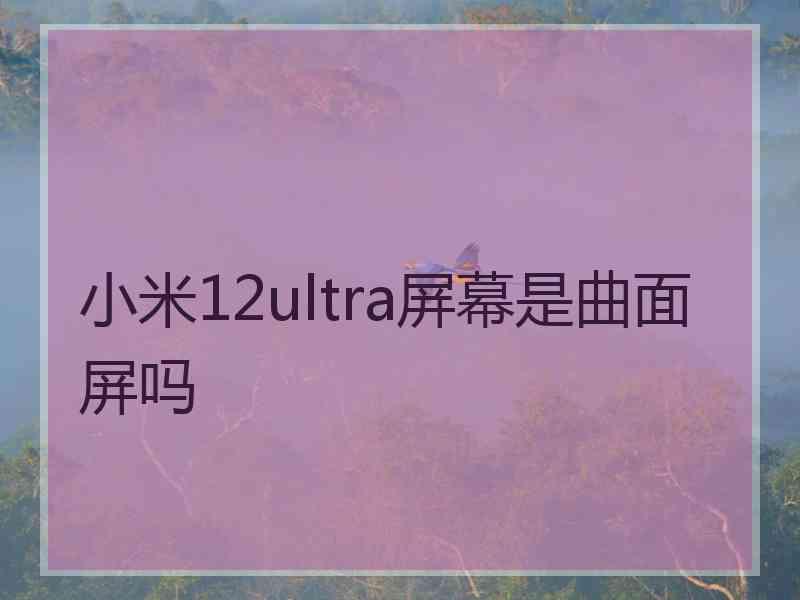 小米12ultra屏幕是曲面屏吗