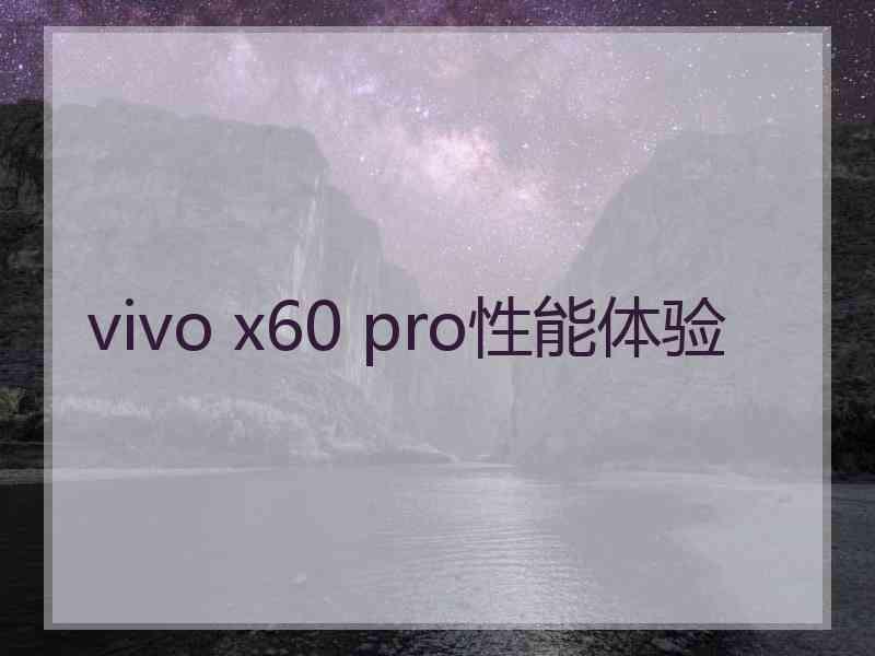 vivo x60 pro性能体验