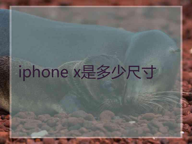 iphone x是多少尺寸