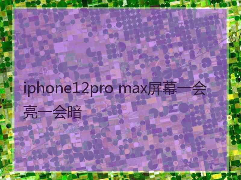 iphone12pro max屏幕一会亮一会暗