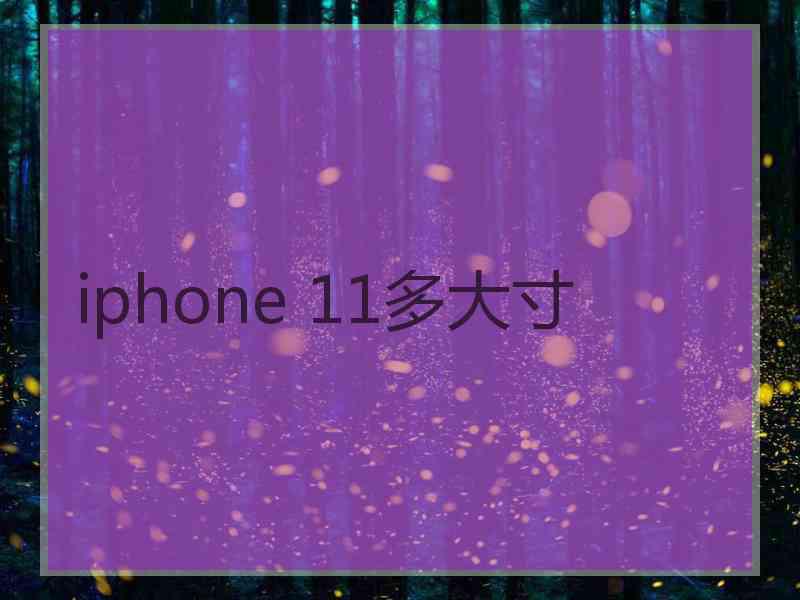 iphone 11多大寸