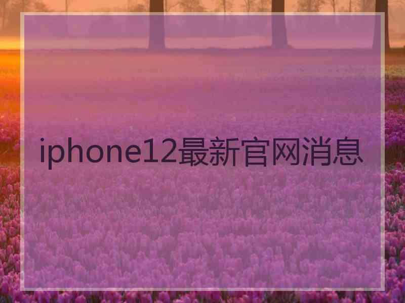 iphone12最新官网消息