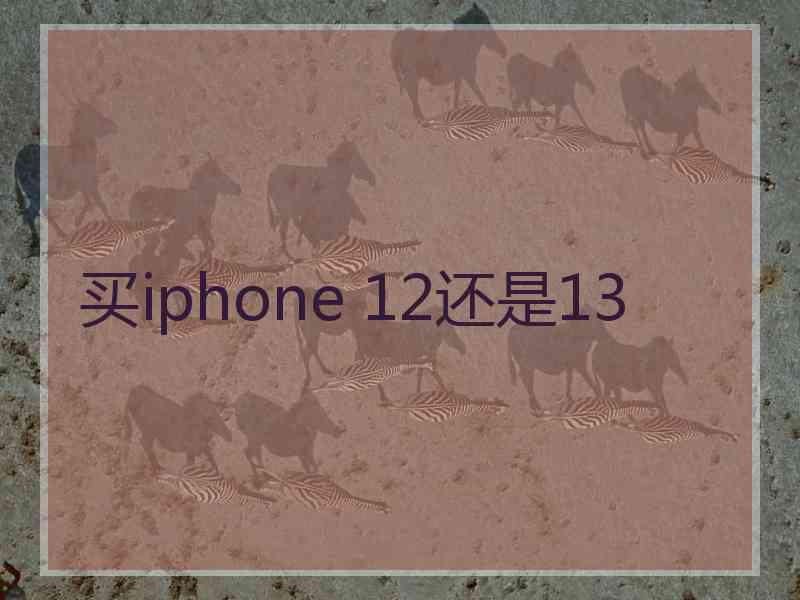 买iphone 12还是13