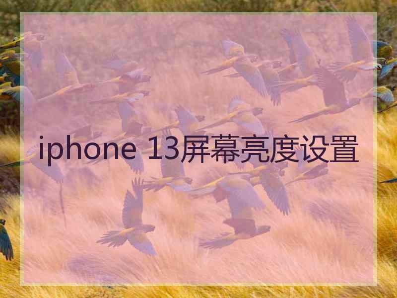 iphone 13屏幕亮度设置