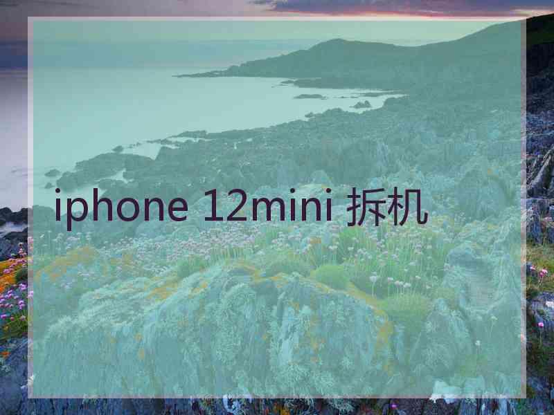 iphone 12mini 拆机