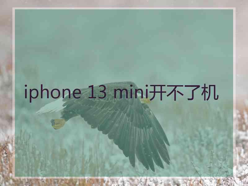 iphone 13 mini开不了机