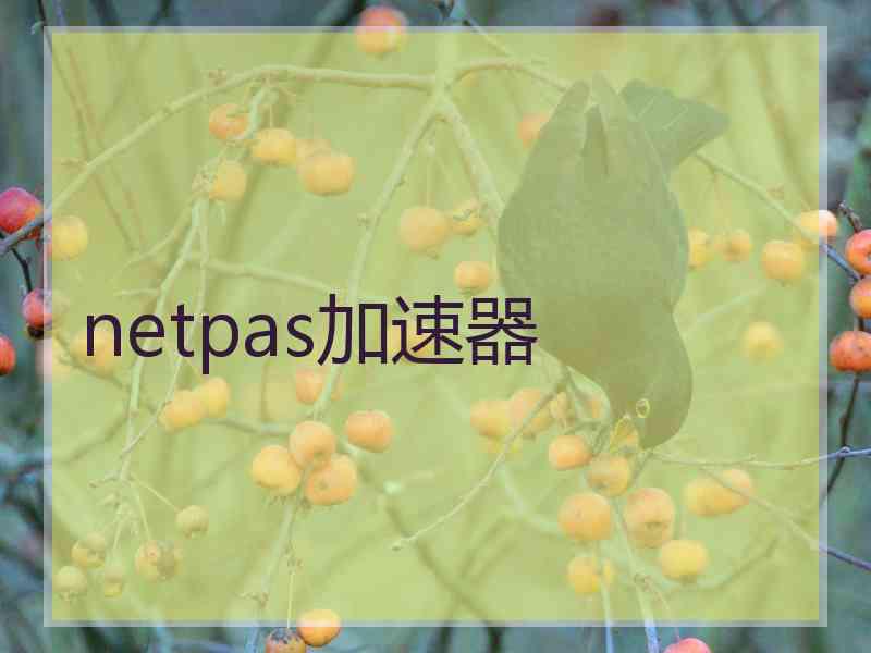 netpas加速器