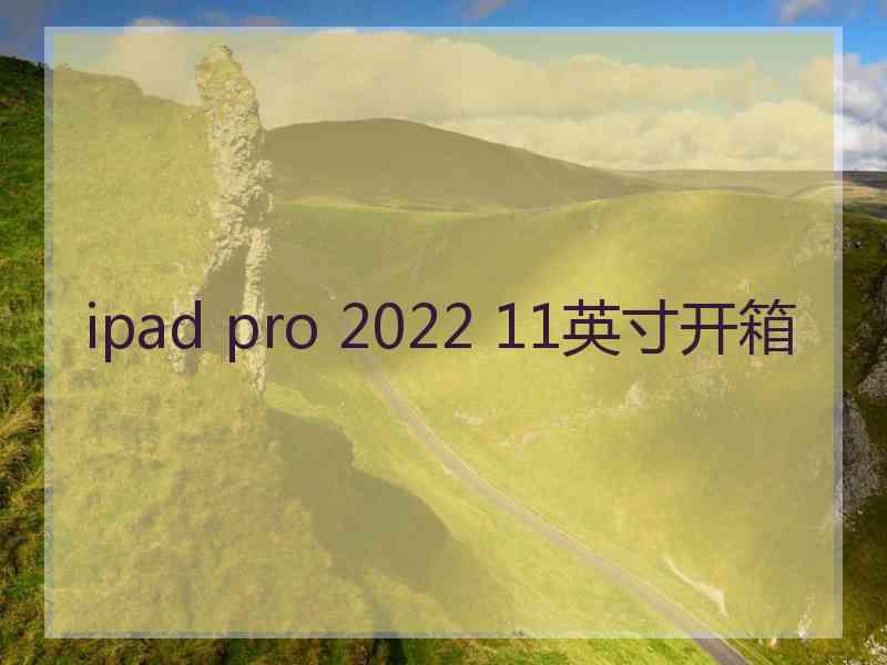 ipad pro 2022 11英寸开箱