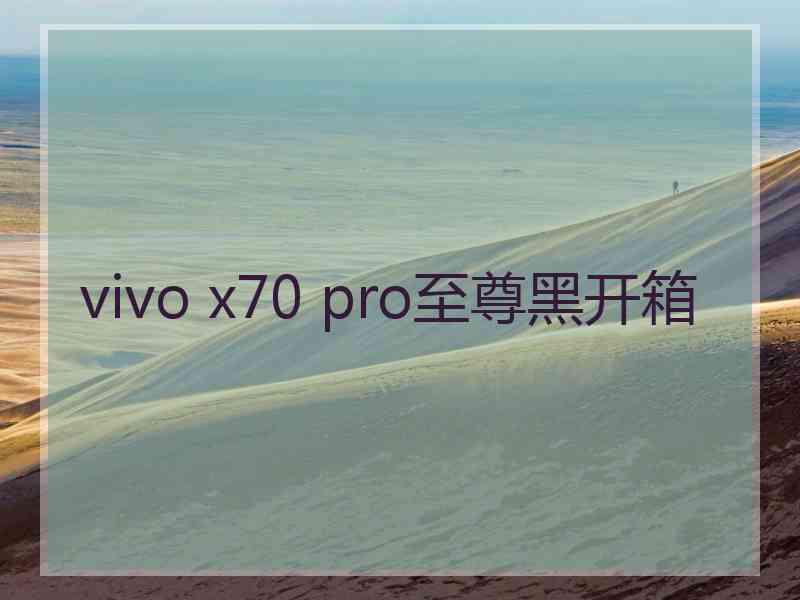 vivo x70 pro至尊黑开箱