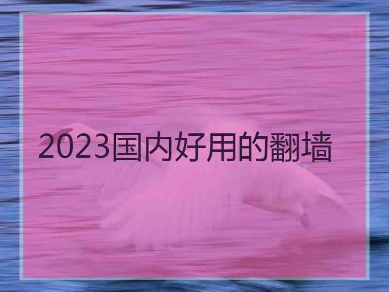 2023国内好用的翻墙