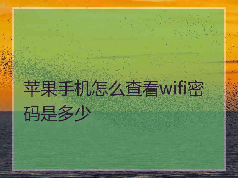 苹果手机怎么查看wifi密码是多少