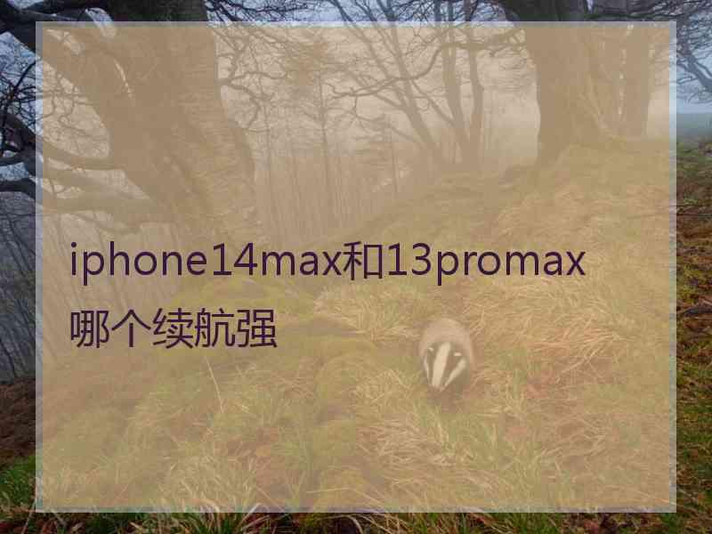 iphone14max和13promax哪个续航强