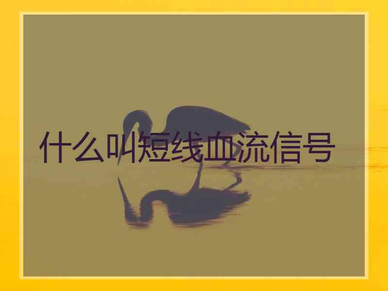 什么叫短线血流信号