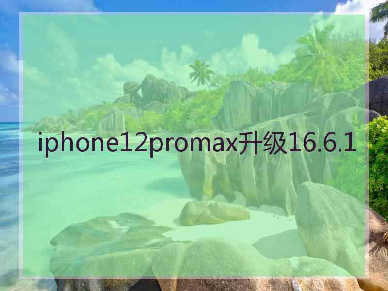 iphone12promax升级16.6.1