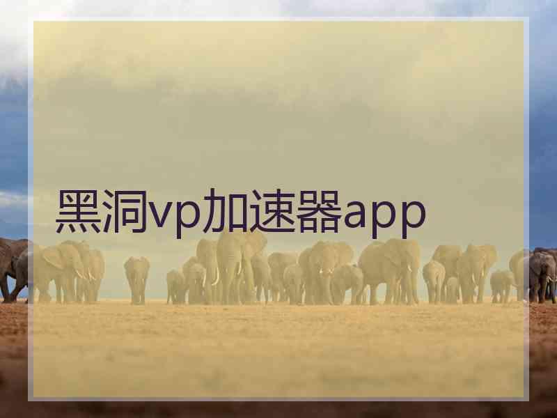 黑洞vp加速器app