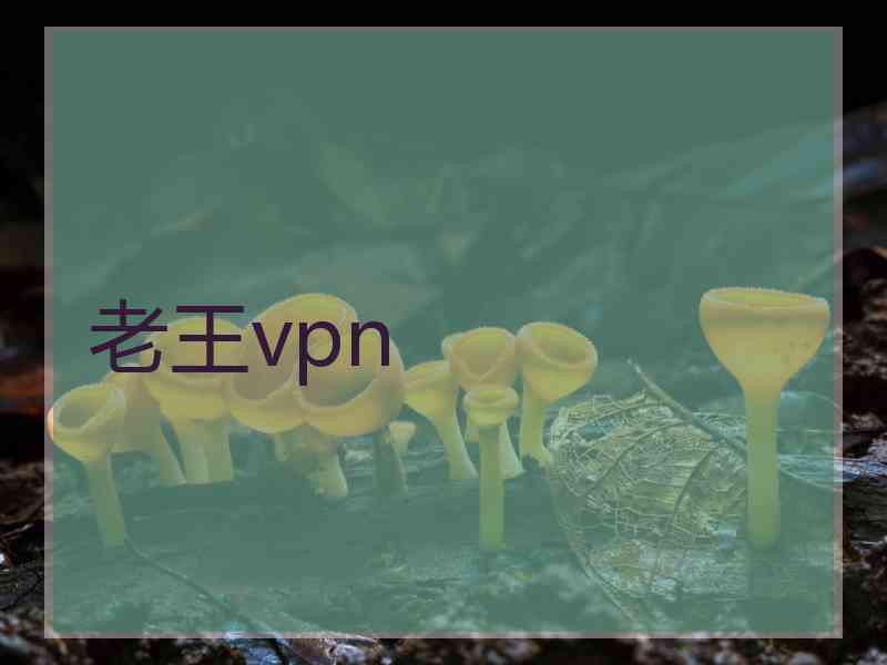 老王vpn