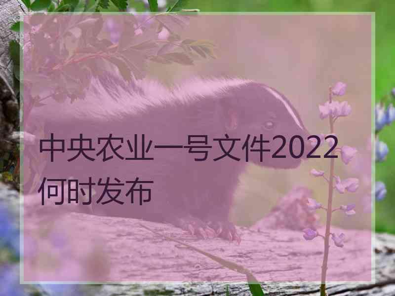 中央农业一号文件2022何时发布