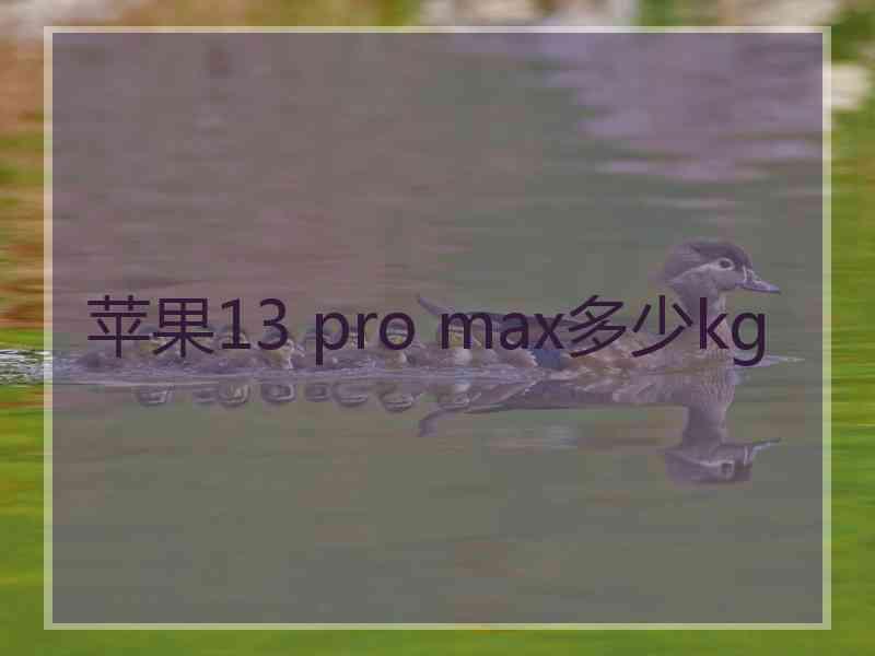 苹果13 pro max多少kg