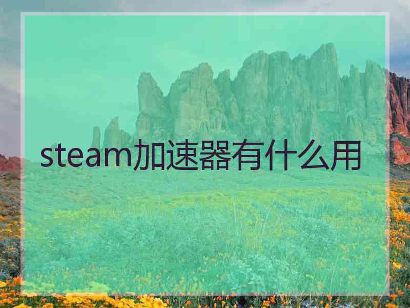 steam加速器有什么用