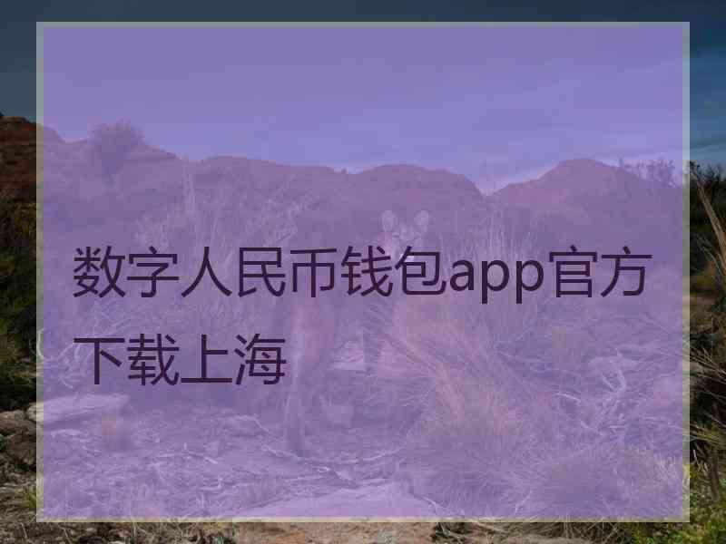 数字人民币钱包app官方下载上海