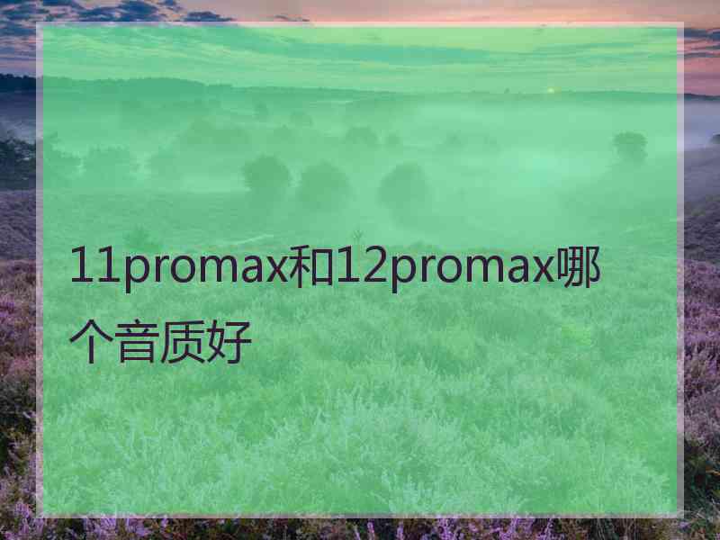 11promax和12promax哪个音质好