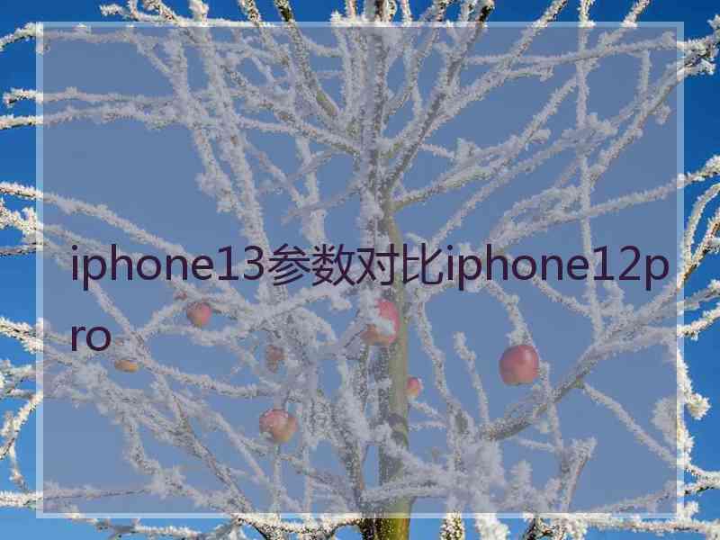 iphone13参数对比iphone12pro