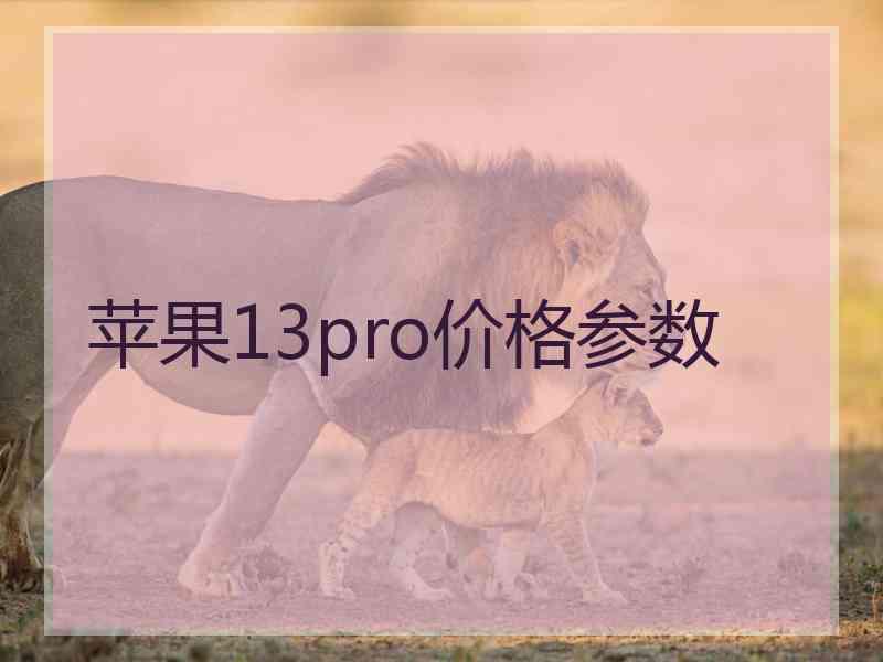 苹果13pro价格参数