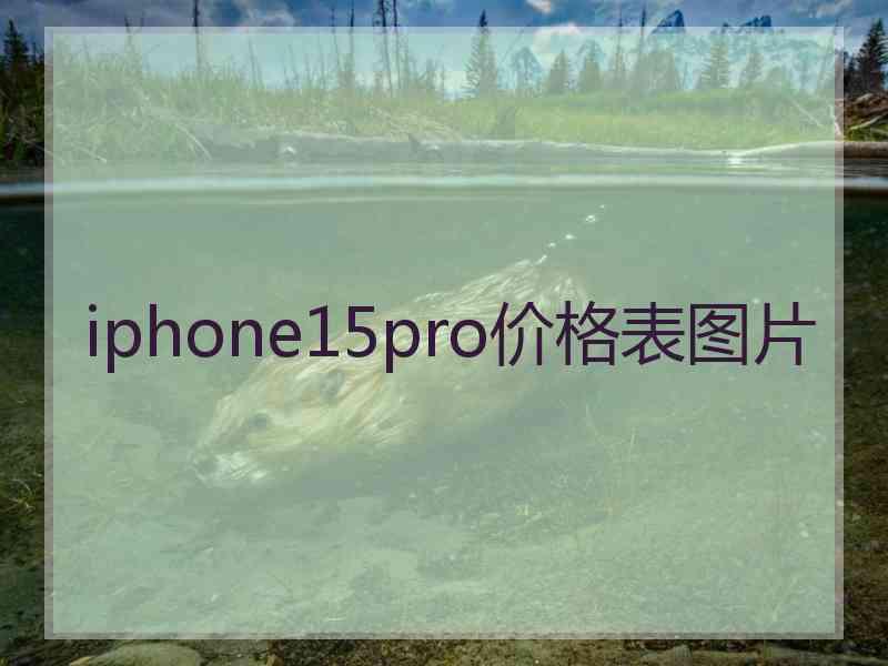 iphone15pro价格表图片