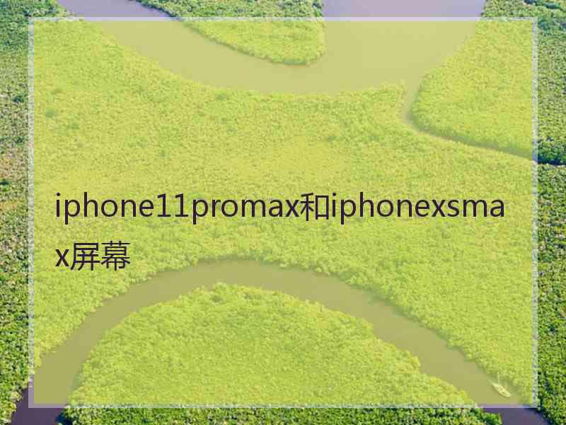 iphone11promax和iphonexsmax屏幕