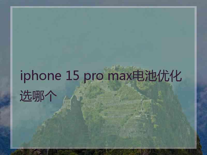 iphone 15 pro max电池优化选哪个