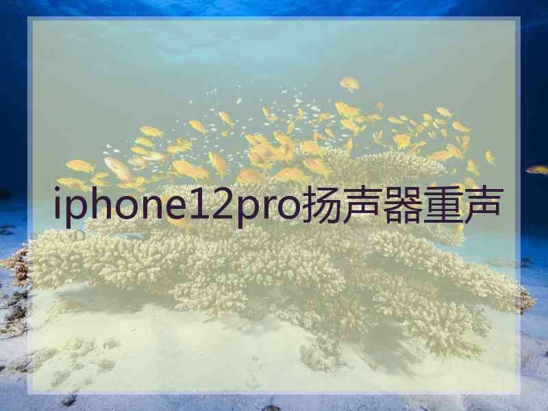 iphone12pro扬声器重声