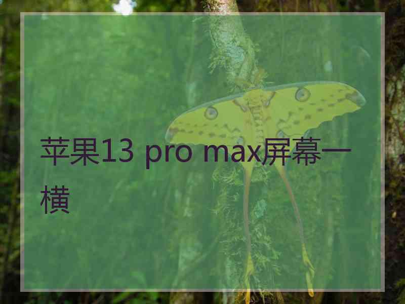 苹果13 pro max屏幕一横