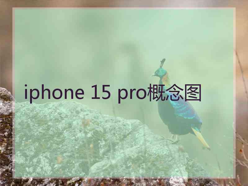 iphone 15 pro概念图