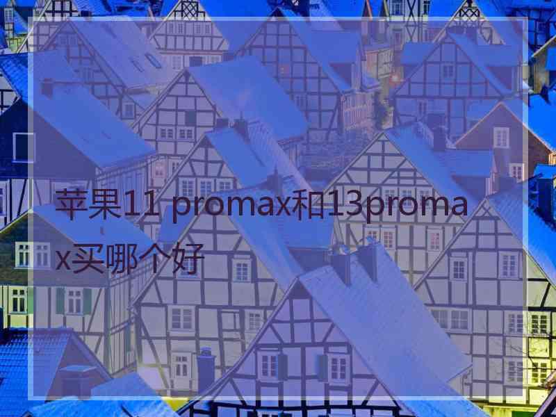 苹果11 promax和13promax买哪个好