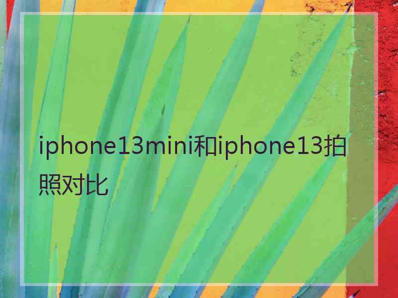 iphone13mini和iphone13拍照对比