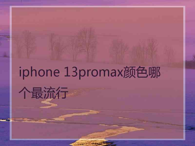 iphone 13promax颜色哪个最流行