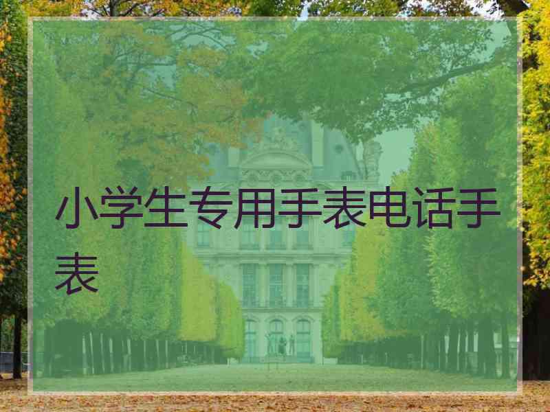 小学生专用手表电话手表