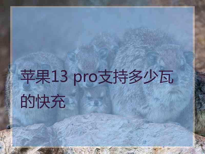 苹果13 pro支持多少瓦的快充