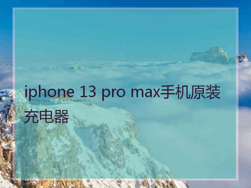 iphone 13 pro max手机原装充电器