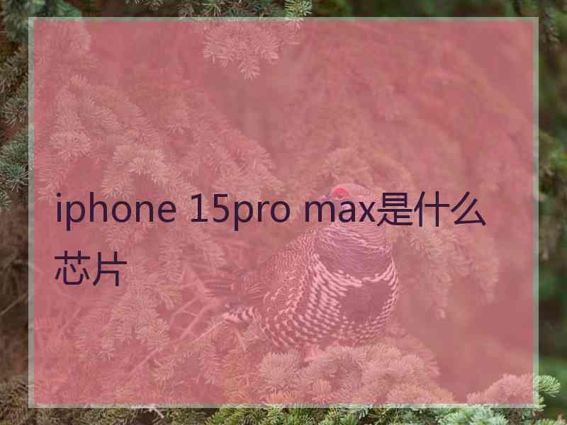 iphone 15pro max是什么芯片