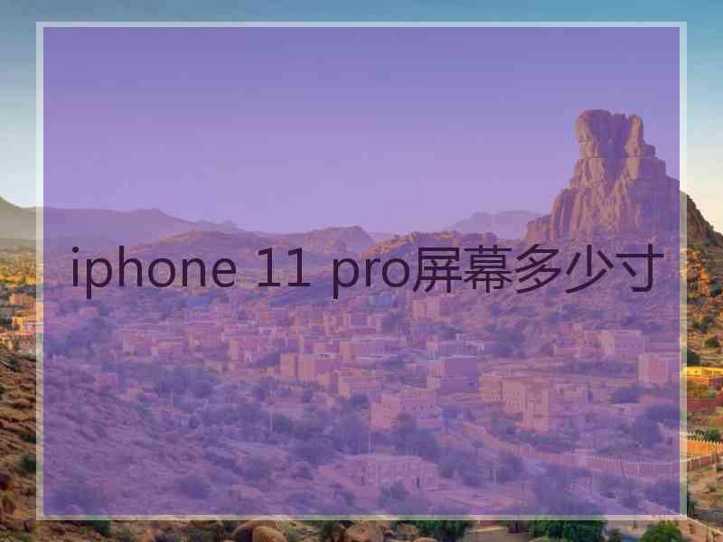 iphone 11 pro屏幕多少寸