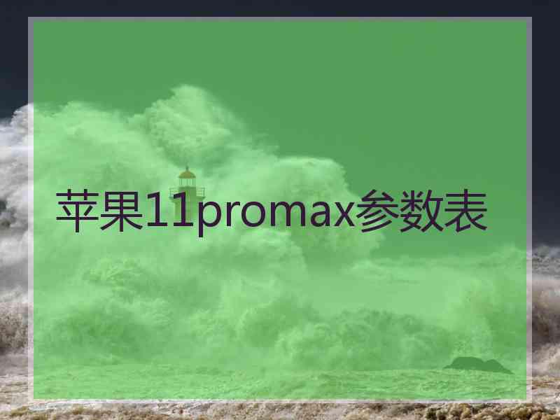 苹果11promax参数表