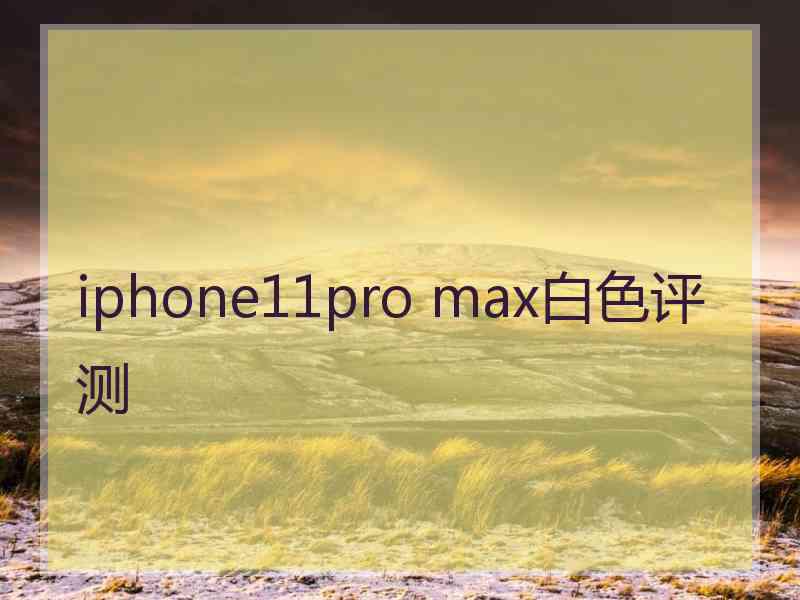 iphone11pro max白色评测