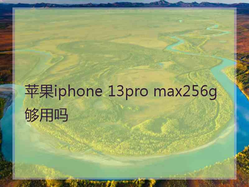 苹果iphone 13pro max256g够用吗