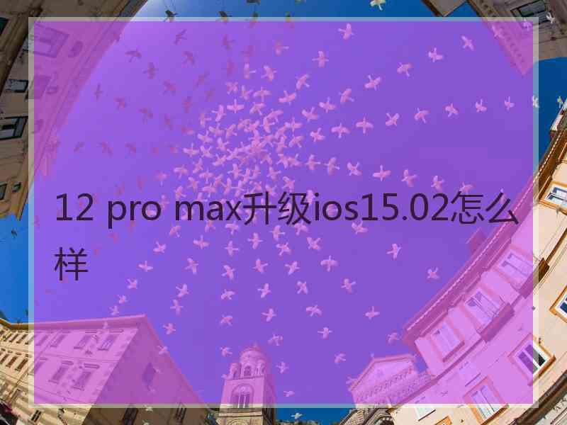 12 pro max升级ios15.02怎么样