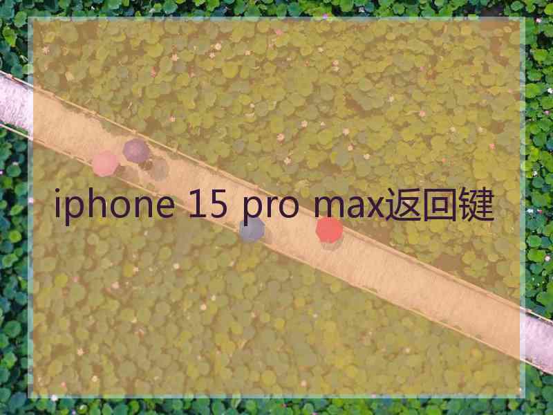 iphone 15 pro max返回键