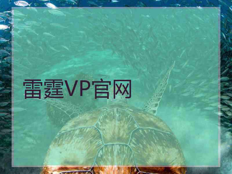 雷霆VP官网